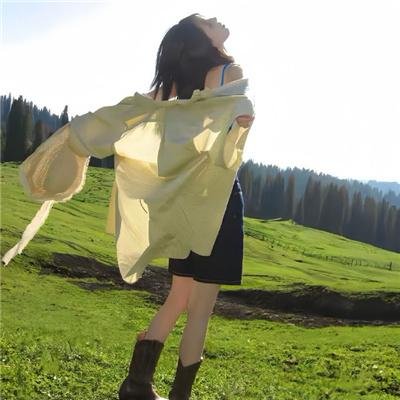 萨利机长