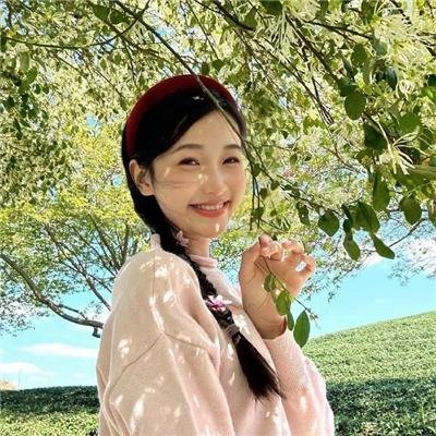 玫瑰楼迷影